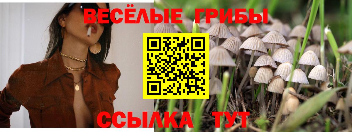 Галлюциногенные грибы ЛСД  Вход с VPN  Псилоцибиновые грибы прущие грибы  Калач-на-Дону 